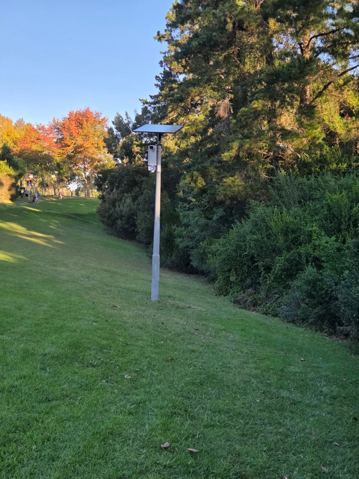 Solar-powered CCTV pole George autumn trees